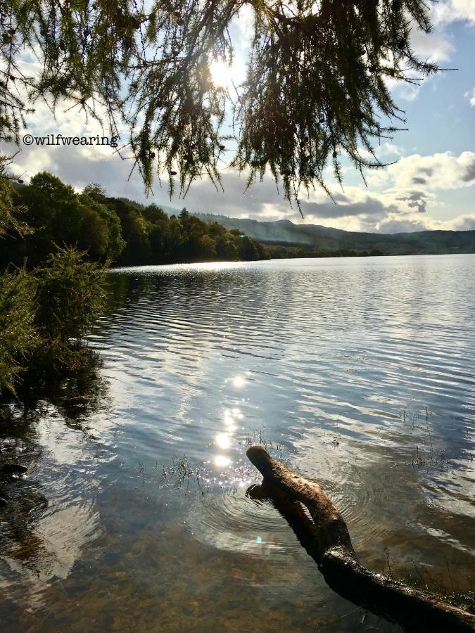 Forest View - Adults Only - Maximum 2 Guests Drumnadrochit Bagian luar foto